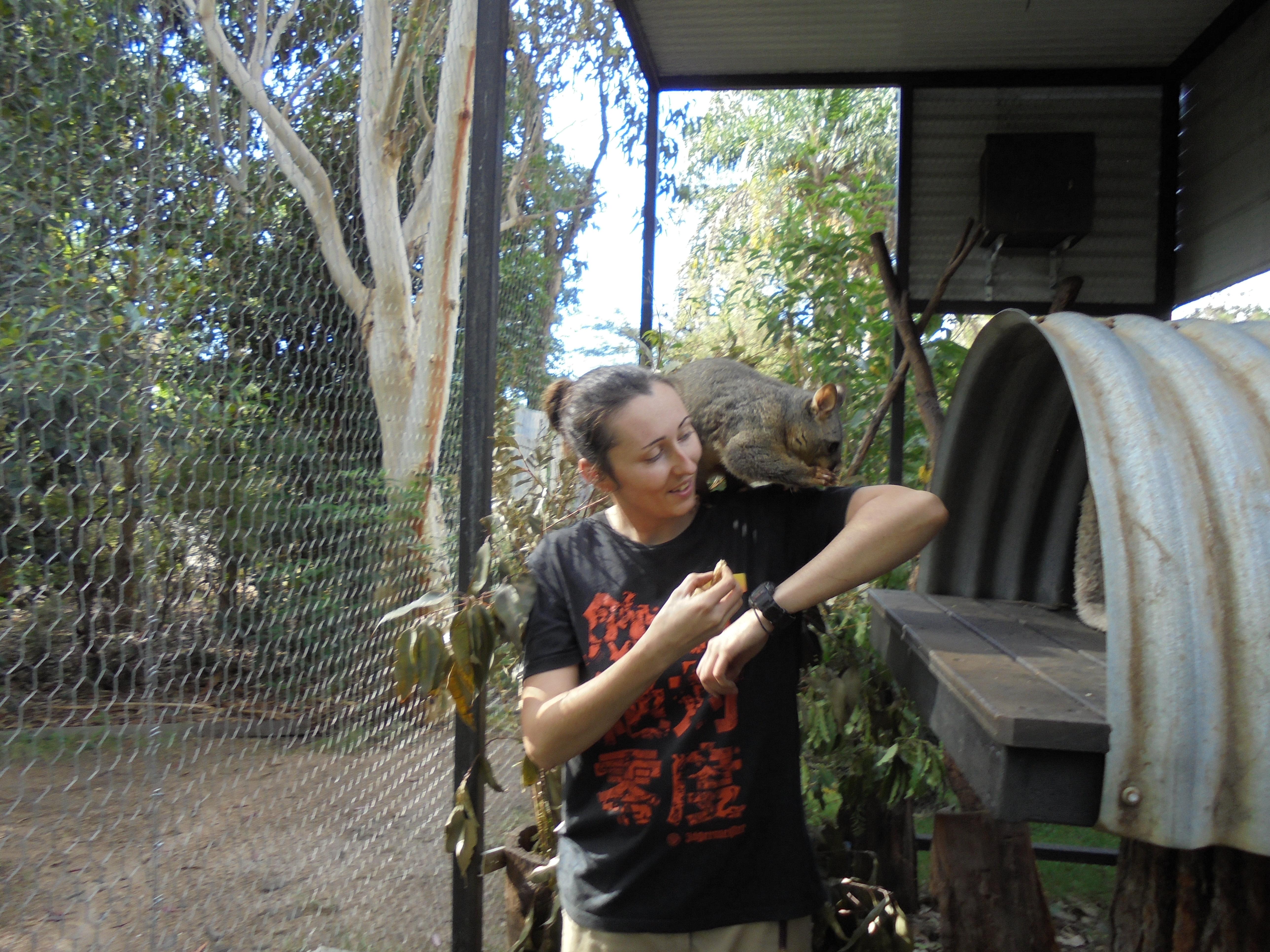 Jade is now working on a permanent basis, after being unemployed for quite some time. She is pictured here working on the job at Potoroo Palace with some native Australian wildlife.