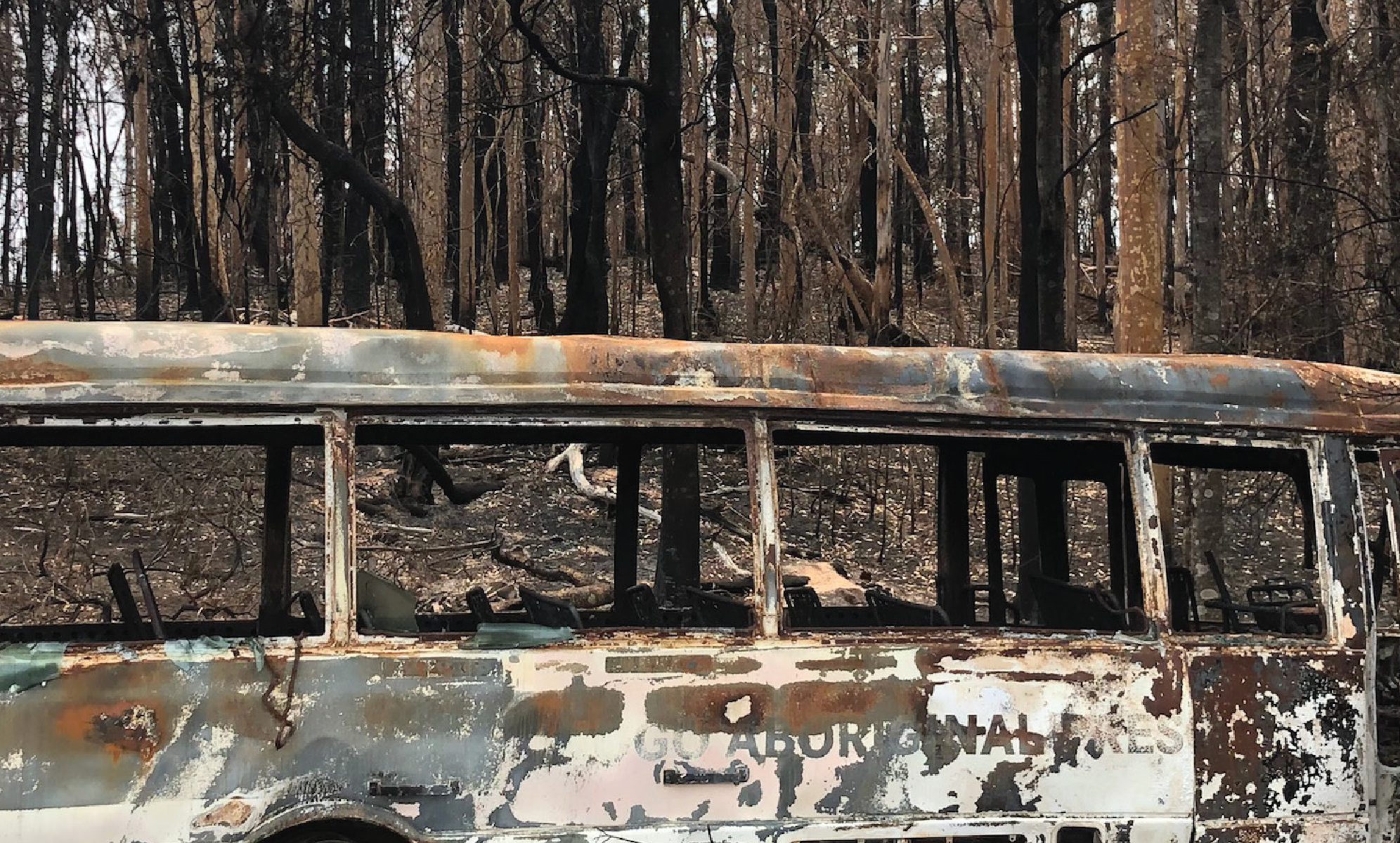 Burnt remains of the Mogo Aboriginal Preschool Bus in burnt bushland